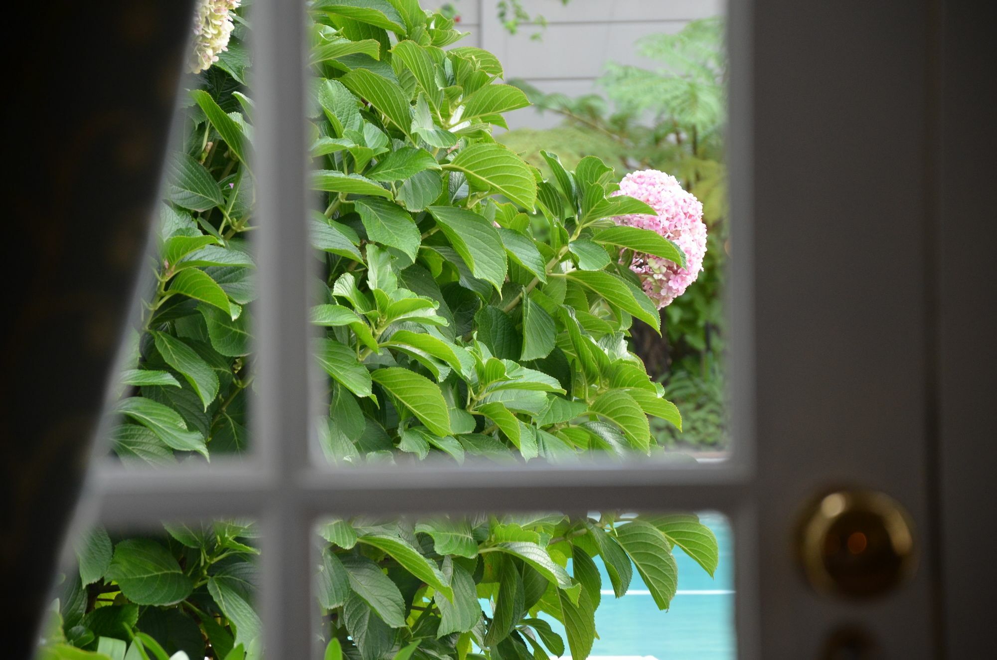 22 Die Laan Guest House Stellenbosch Luaran gambar